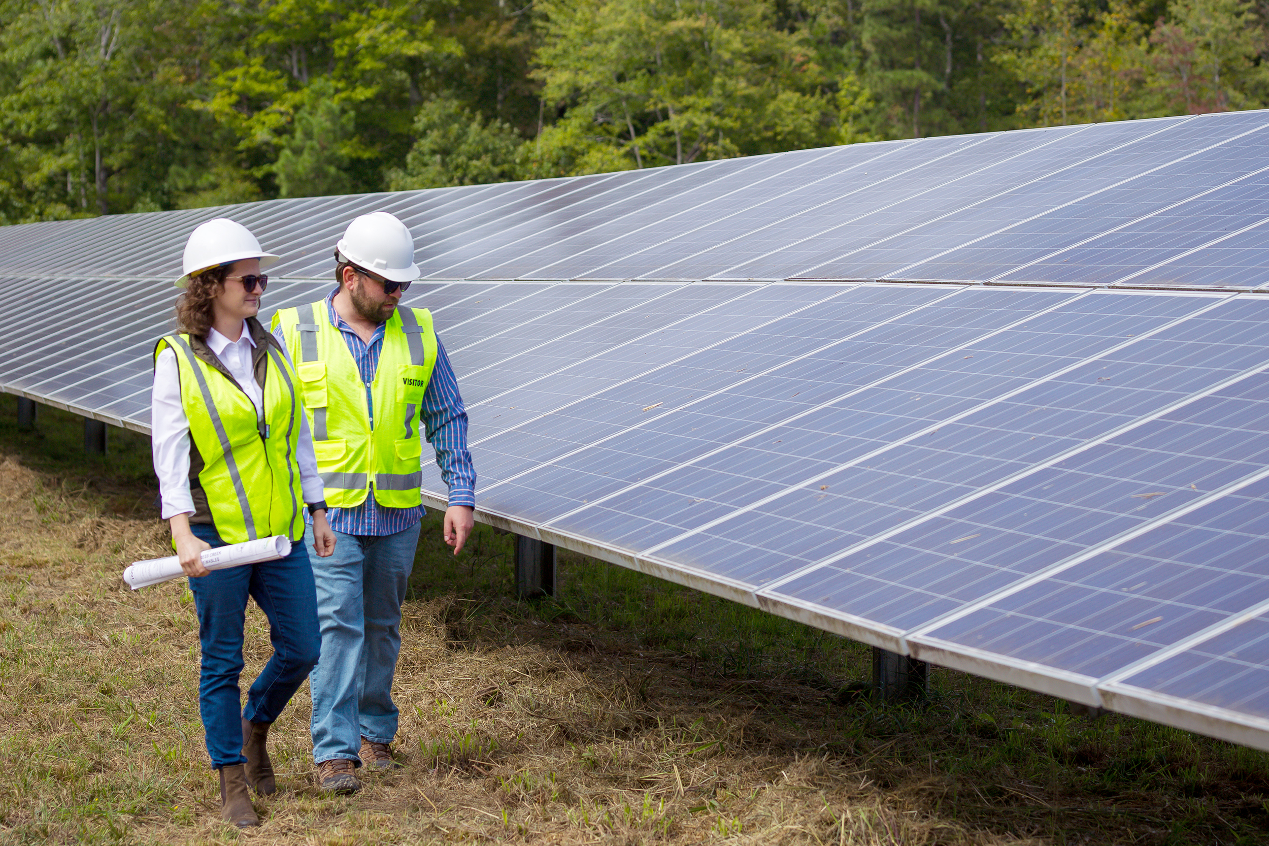 A typical Pacific Northwest solar site