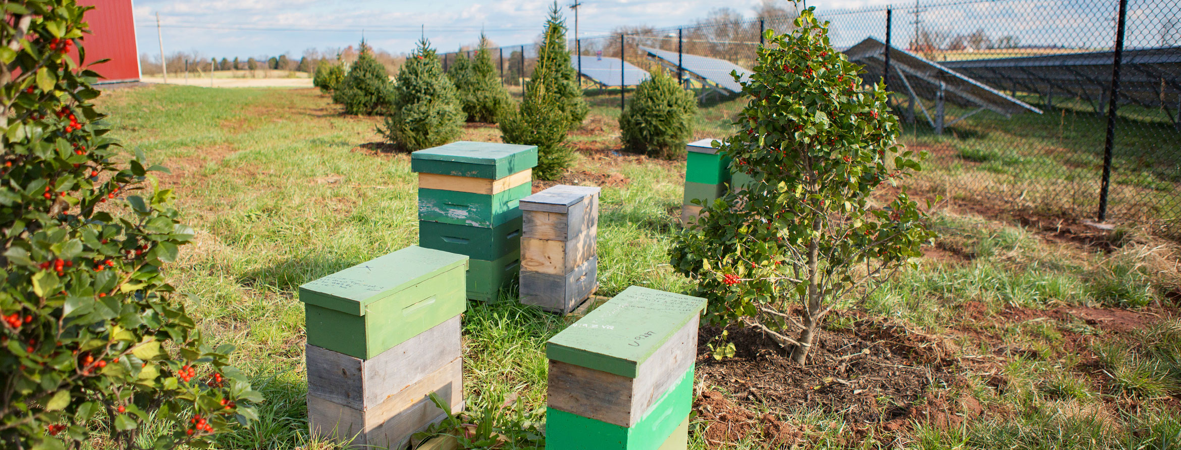 MD-Solar-Farm-Pollinator-Habitat-Bee-Boxes-Panels-H.jpg