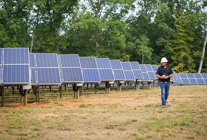 A man walks in a field past rows of solar panels